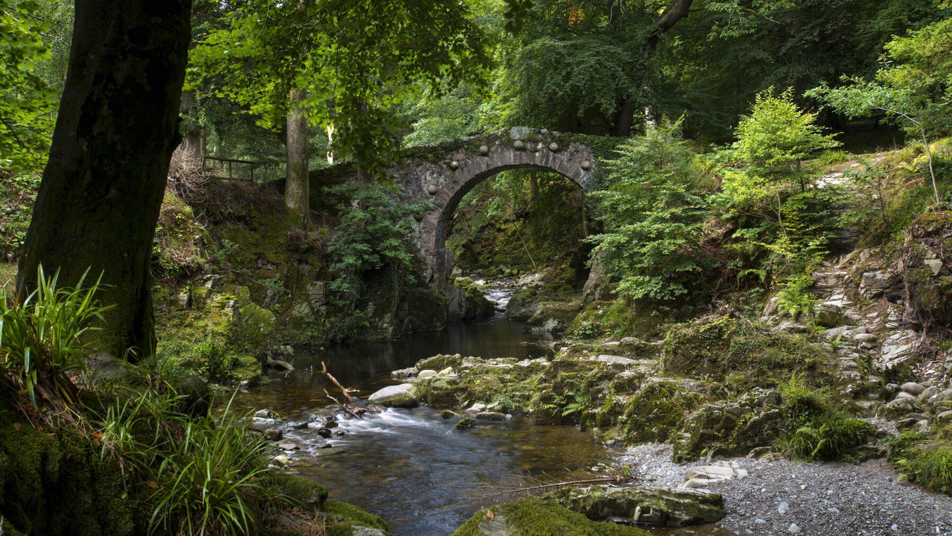 Stone bridge in forest